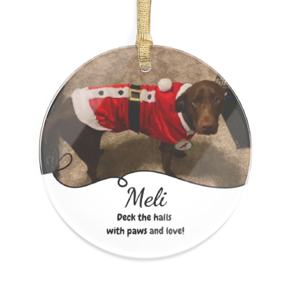 Deck the Halls with Paws and Love! Personalized Pet Lover Acrylic Ornament